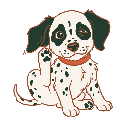 Akira, dalmatien à poil long